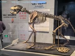 -北京周口店北京人遗址博物馆