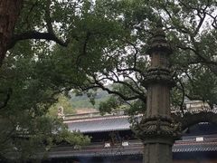 -普陀山风景名胜区-法雨禅寺