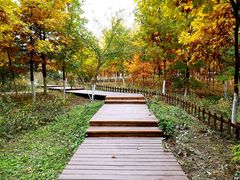 -长春世界雕塑园冰雪艺术天地