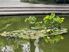 -常州古运河南大街文化旅游区-人民公园