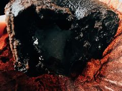 -百年义利(通州北苑南路店)