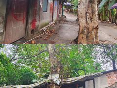 -沙河三洞古桥公园