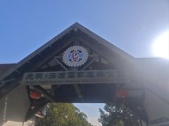 -上海海湾国家森林公园