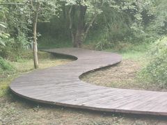 -盘龙城国家考古遗址公园