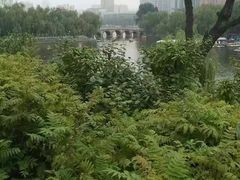 -迎泽公园