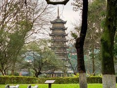 -桂林市榕杉湖景区
