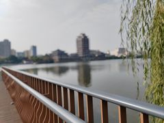 -眉山湿地公园(东坡区)
