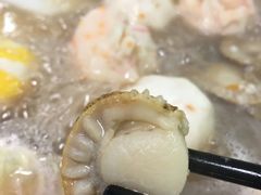 -拾下卜卜贝•海鲜火锅