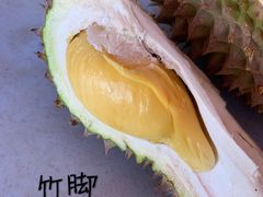 -SS2 榴梿鲜生
