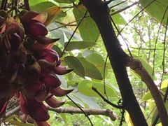 -华南国家植物园-售票处