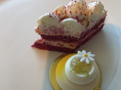 -金茂君悦·食在56海鲜自助餐厅ON56