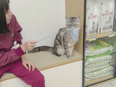 -瑞派康怡24h宠物医院·犬猫医疗中心·微创绝育(瑞景分院)