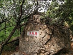 -阳台山自然风景区