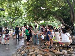 -成都市活水公园
