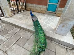 -昆明动物园