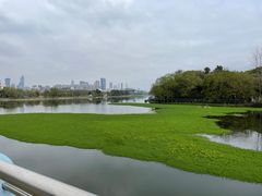 -月湖风景区