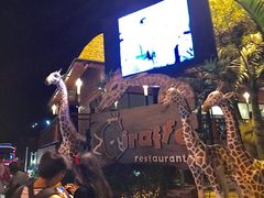 -清迈夜间动物园