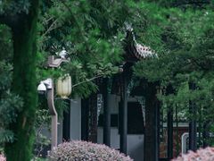 -望江楼公园