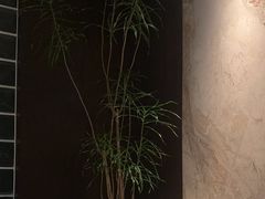 -villaa·别墅·融合菜西餐厅