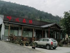 -呼吸森林·生态农庄农家乐私房菜