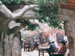 -洪沟崖张记炒鸡店(聚才路店)