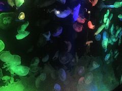 -台州海洋世界
