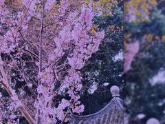 -乌山风景区
