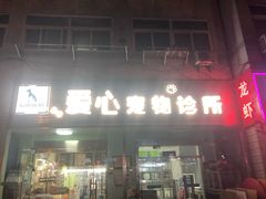 -爱心宠物诊所