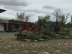 -上海长兴岛郊野公园