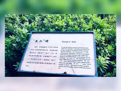 -西湖游船