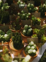 -美薇亭婚礼顾问