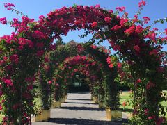 -崇明东平国家森林公园烧烤房车露营地