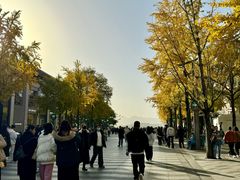 -杭州湖滨in77