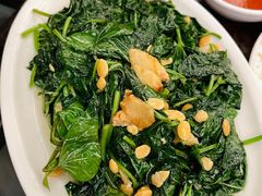 -吴记富苑(朝阳店)