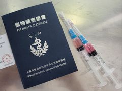 -申普宠物医院·心脏介入·心血管微创(总院)
