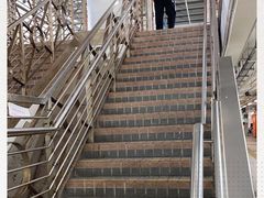 -中环5号码头