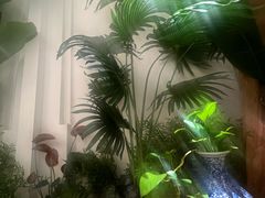 -Mezomd曼索蒂西班牙餐厅(广粤店)