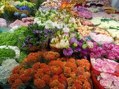 -双季花艺园艺市场(浦东店)