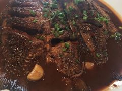 -上膳源有机农场