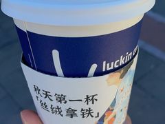 -瑞幸咖啡(中关村科贸电子城店)