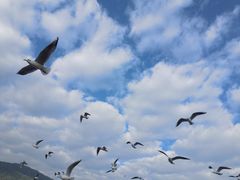-海埂大坝
