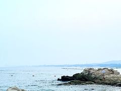 -叶存利海鲜大馅饺子(海宁路总店)