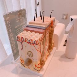 -素妍印象Ekrin Medi Clinic