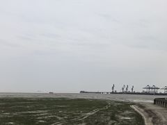 -平湖九龙山旅游度假区