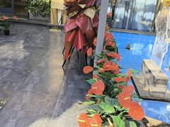 -怀来印象