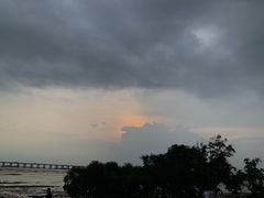 -宝安西湾红树林湿地公园