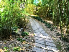 -苏州河梦清园环保主题公园