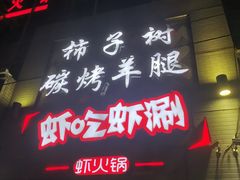 -柿子树炭烤羊腿(金台路店)