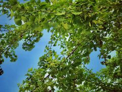 -苏州河梦清园环保主题公园