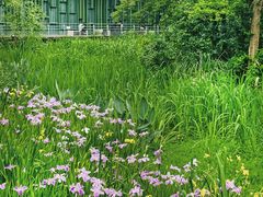 -西湖风景区-江洋畈生态公园
